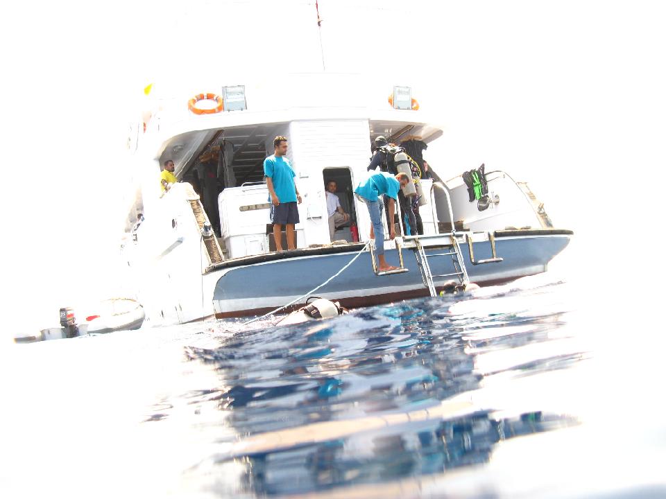 2009_03 red sea_162.jpg